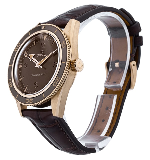 Omega Seamaster 300 234.92.41.21.10.001 Image 2